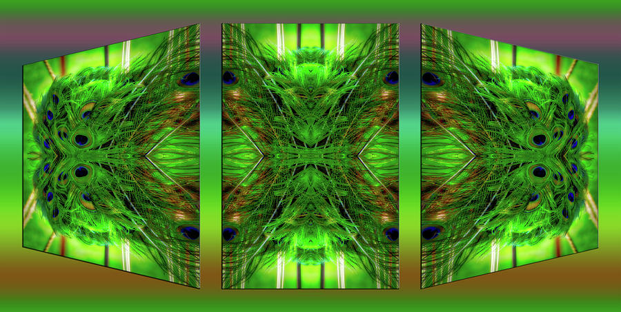 Peacock Photograph - Peacock Feathers Triptych 3 Panel Mirrored 02 by Thomas Woolworth