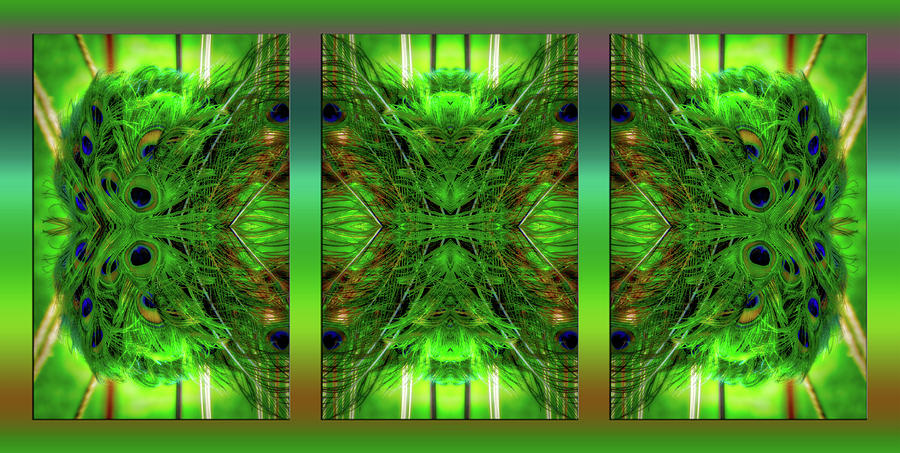 Peacock Feathers Triptych 3 Panel Mirrored Photograph by Thomas Woolworth