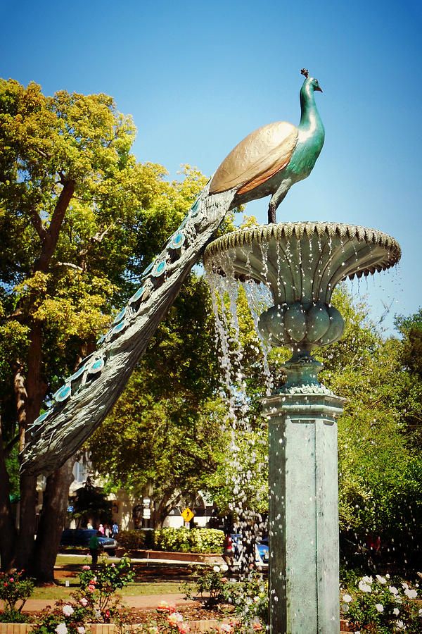 Peacock Fountain 2 Photograph by Valerie Reeves