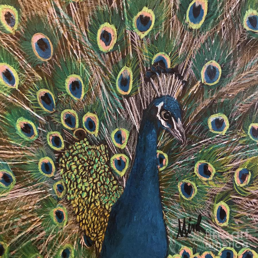 Peacock Full tail Drawing by Marianne Royston | Fine Art America