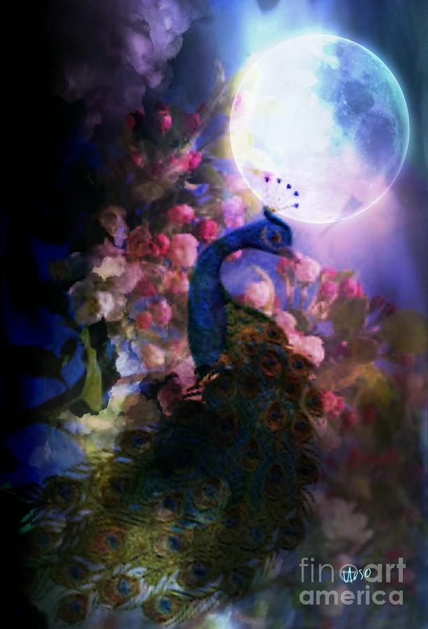 Peacock in Moonlight Digital Art by Maria Urso
