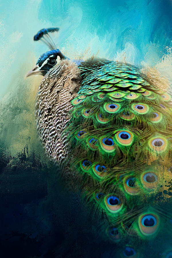Peacock In Winter Photograph by Jai Johnson