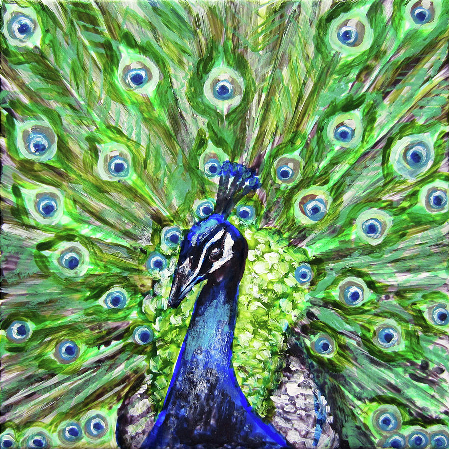 Peacock Painting by Jacqueline Talbot - Pixels