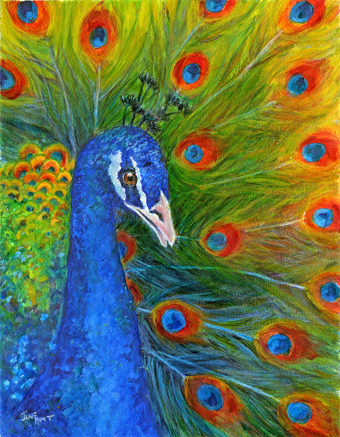 Peacock Painting by June Hunt
