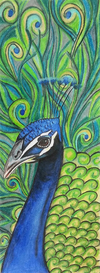 Original Realistic Peacock Drawing - (with derwent colored pencil) | eBay