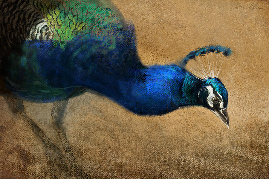 Peacock Light Digital Art by Aaron Blaise