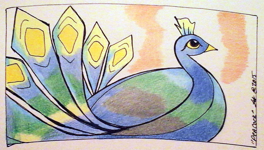 Peacock Drawing by Loretta Nash