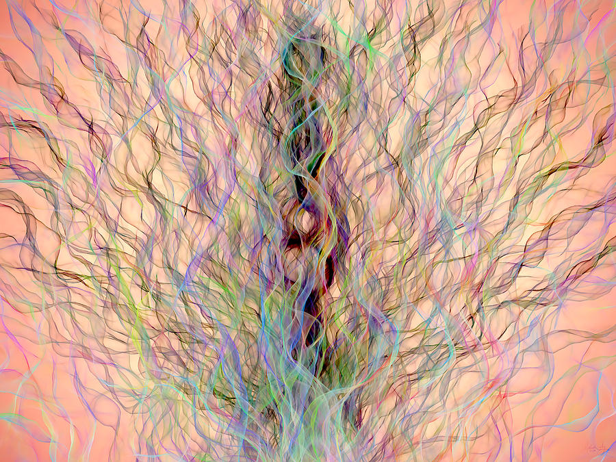 Peacock Digital Art by Matthew Lindley