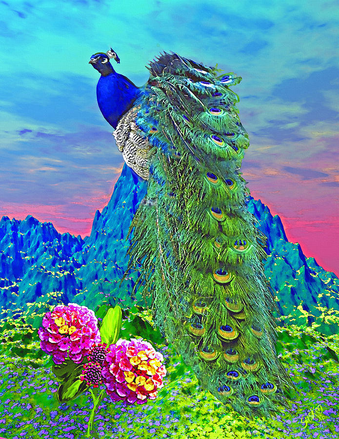 Peacock On Mountain Painting by Susanna Katherine