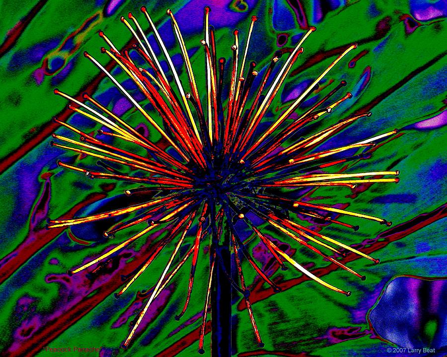 Peacock Panache Digital Art by Larry Beat