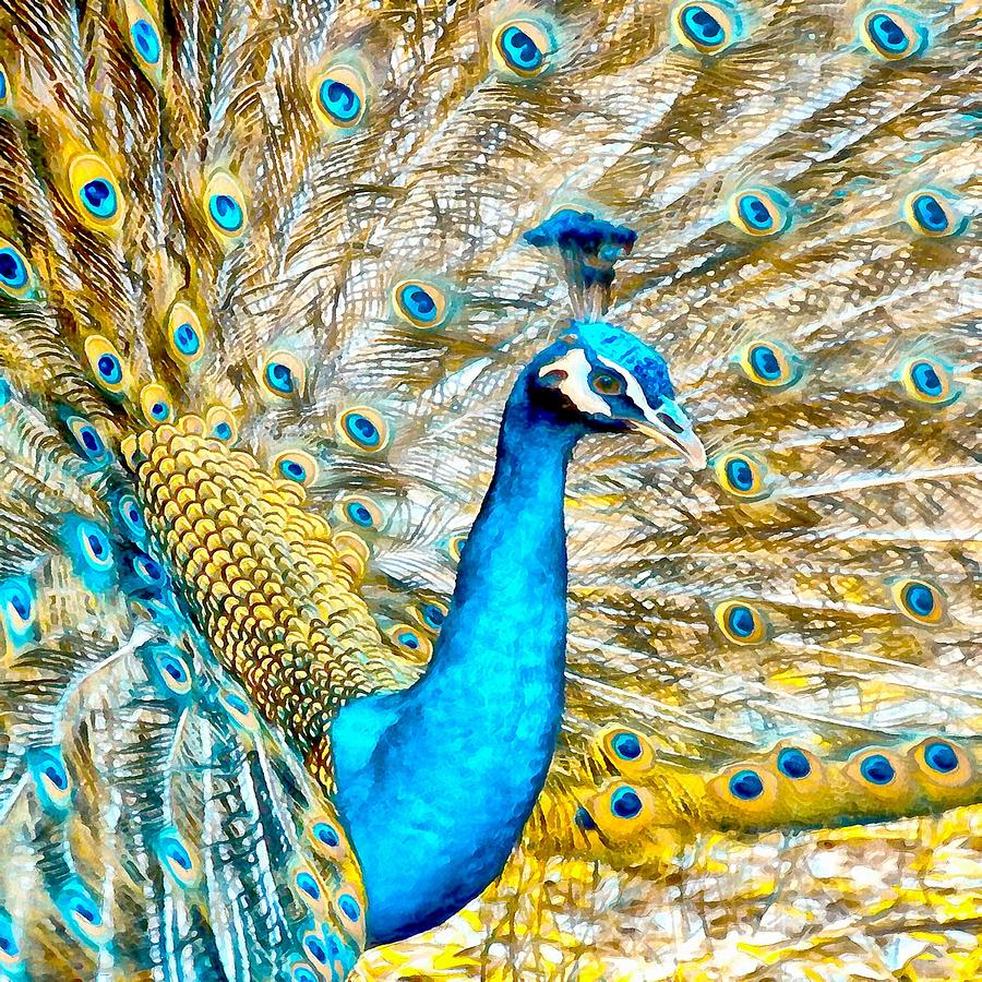 Peacock Paradise Digital Art by Charmaine Zoe