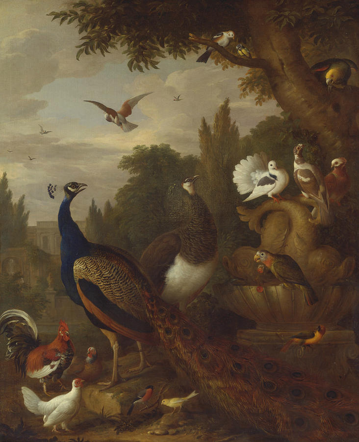 Peacock, Peahen, Parrots, Canary, and other Birds in a Park Painting by Jacob Bogdani