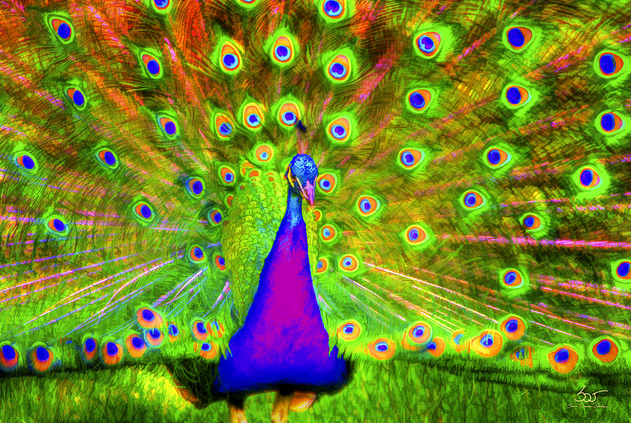 Peacock Photograph by Sam Davis Johnson