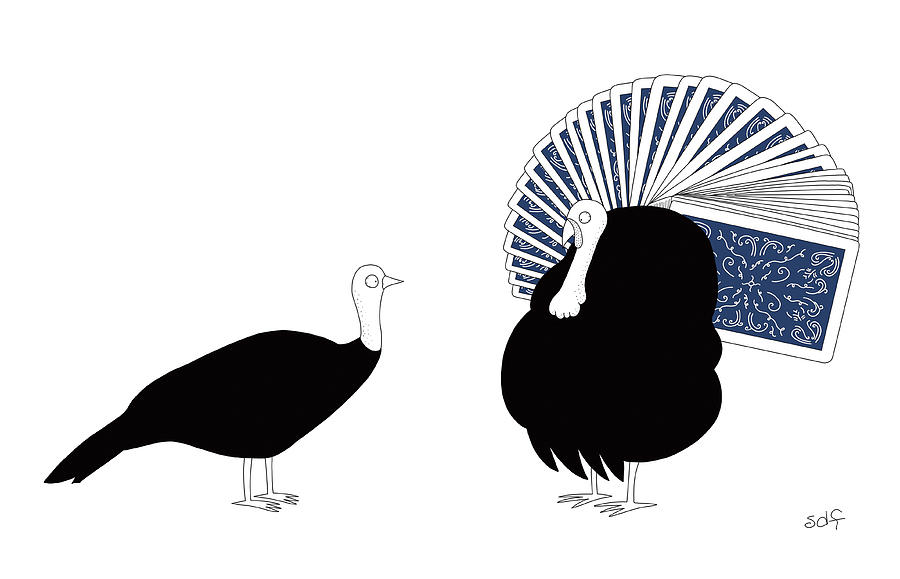 Peacock Drawing by Seth Fleishman Peacock Drawing by Seth Fleishman