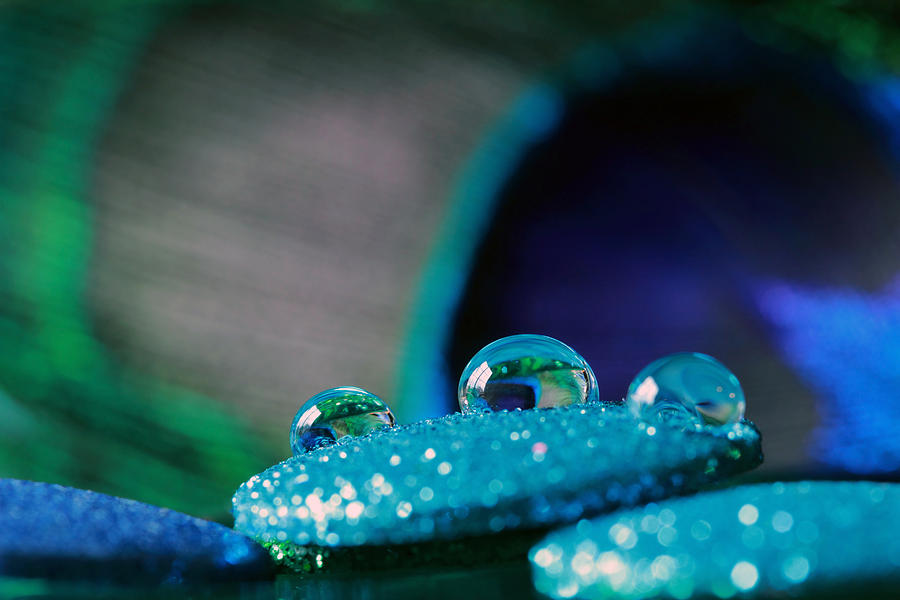 Peacock Water Drops and Glitter Photograph by Angela Murdock