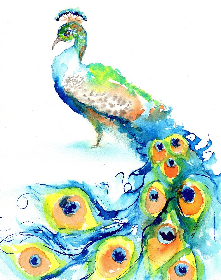 Peacock bird. Hand-drawn ink and watercolor on paper Stock Photo - Alamy