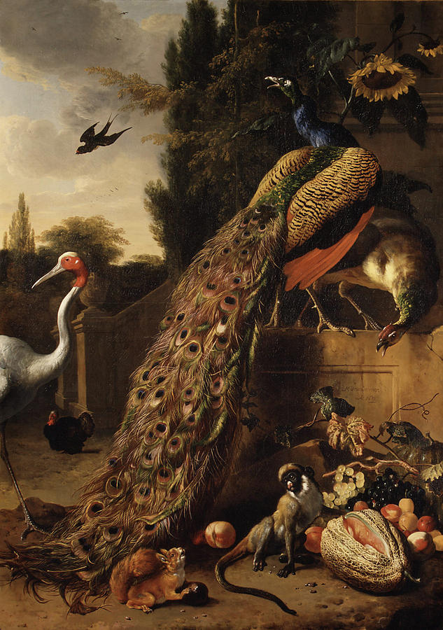 Peacocks  Painting by Hondecoeter