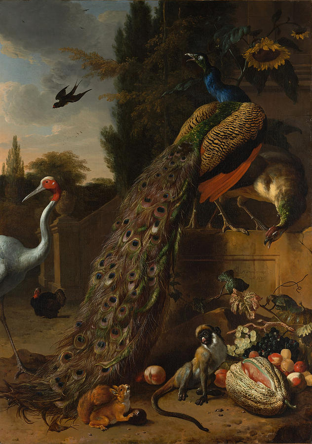 Peacocks Painting by Melchior dHondecoeter