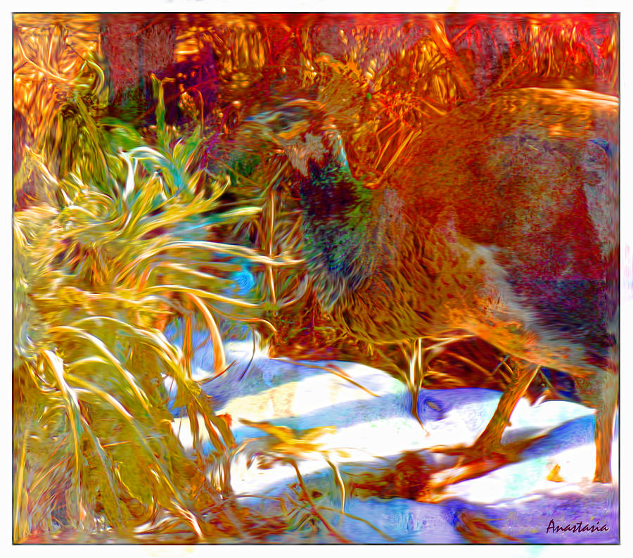 Peahen Eating Winter Garden Kale Photograph by Anastasia Savage Ealy
