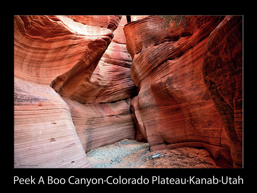 Peek A Boo Canyon 02 Text Black Photograph by Thomas Woolworth