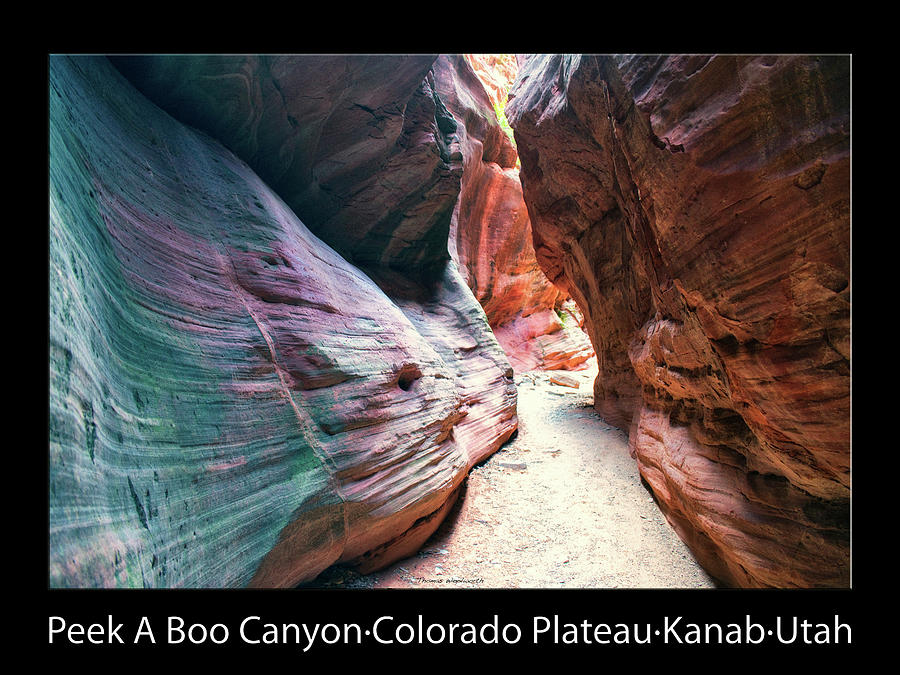 Peek A Boo Canyon 05 Text Black Photograph by Thomas Woolworth