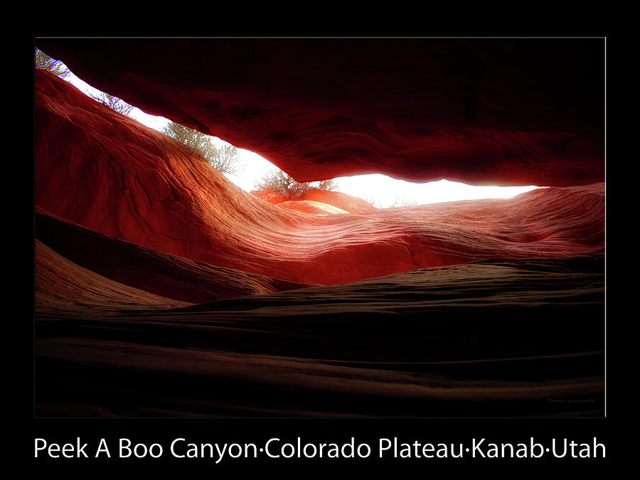 Peek A Boo Canyon 19 Text Black Photograph by Thomas Woolworth