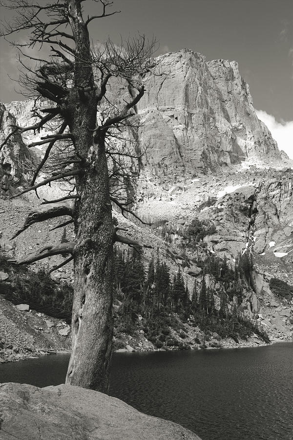Peak at Emerald Lake Photograph by Scott Kingery