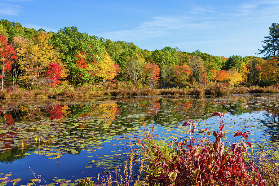 Peak Autumn Foliage Reflections At Greystone Pond, Plymouth Connecticut Photograph