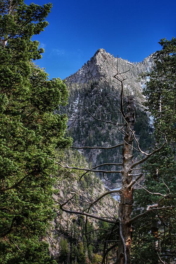Peak Between the Trees  Photograph by Buck Buchanan
