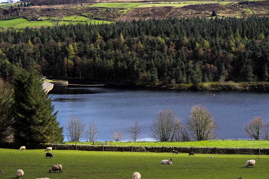 Peak District Photograph by Jabbar Jamil Peak District Photograph by Jabbar Jamil