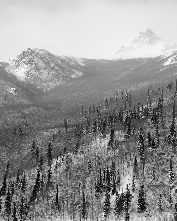 Peak in Black and White Photograph by Chris Christensen