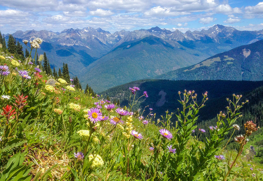 Peak Season- Canada Photograph by Joy McAdams - Fine Art America