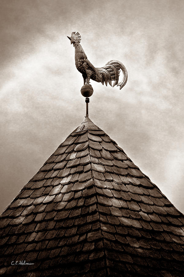 Peaked Rooster - Sepia Photograph by Christopher Holmes