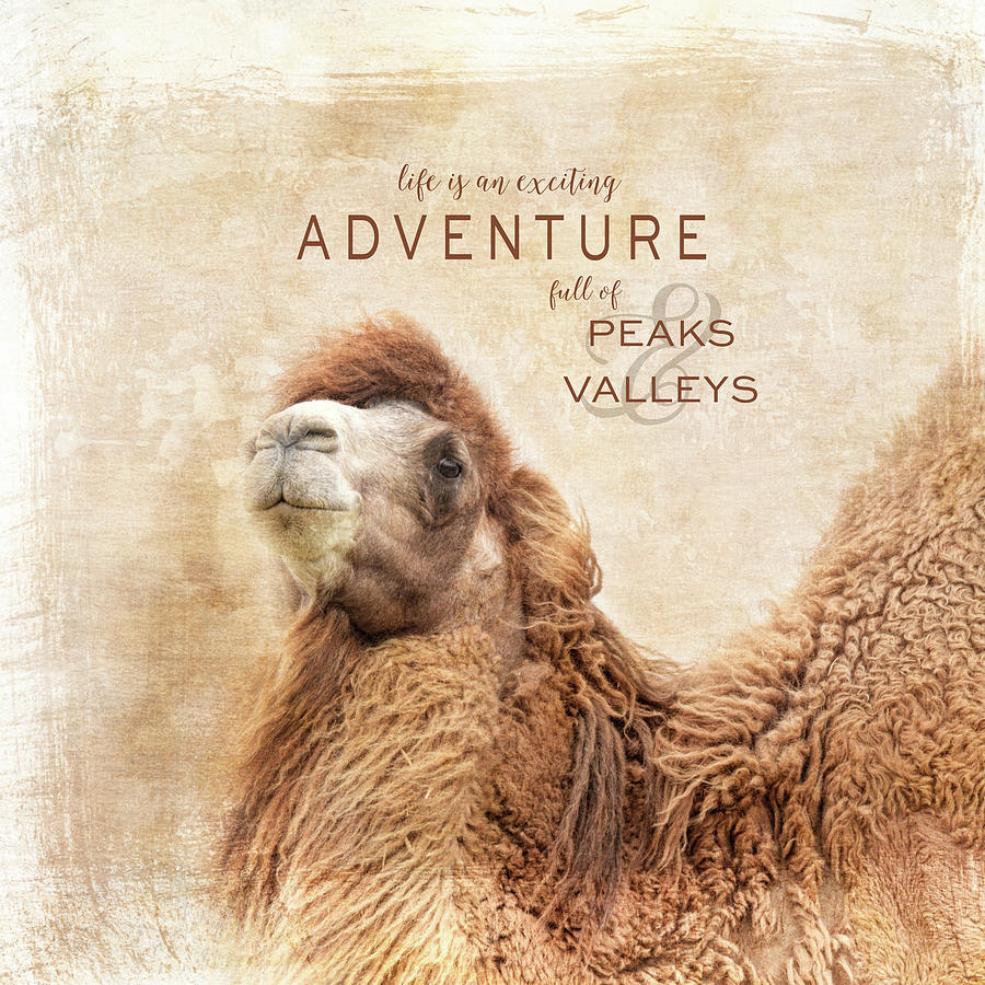 Peaks and Valleys Camel Art With Words Photograph by Jai Johnson