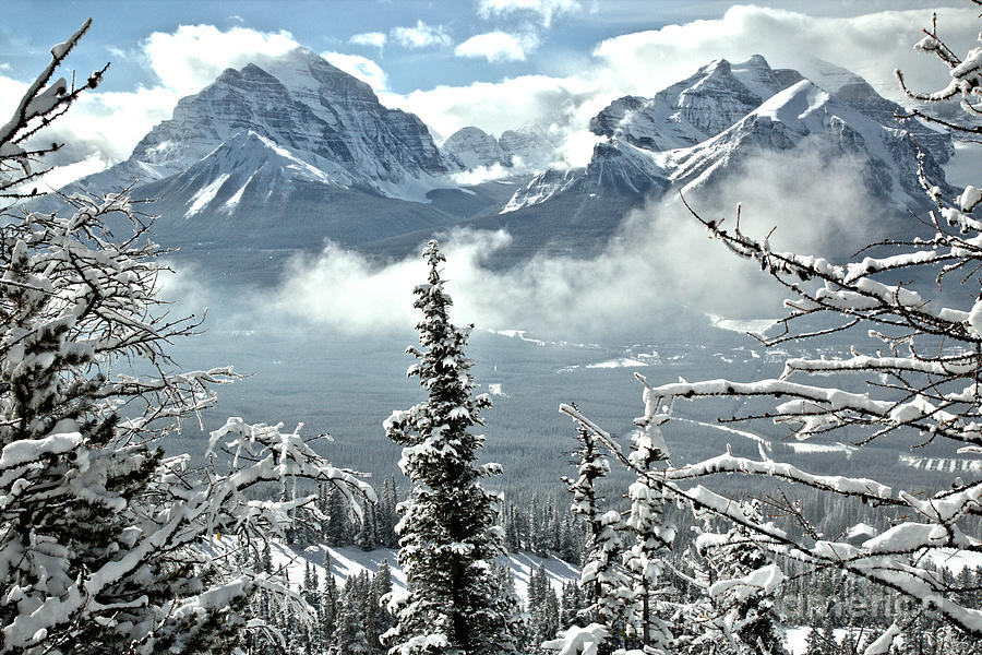Banff National Park Photograph - Peaks Through The Trees At Lake Louise by Adam Jewell