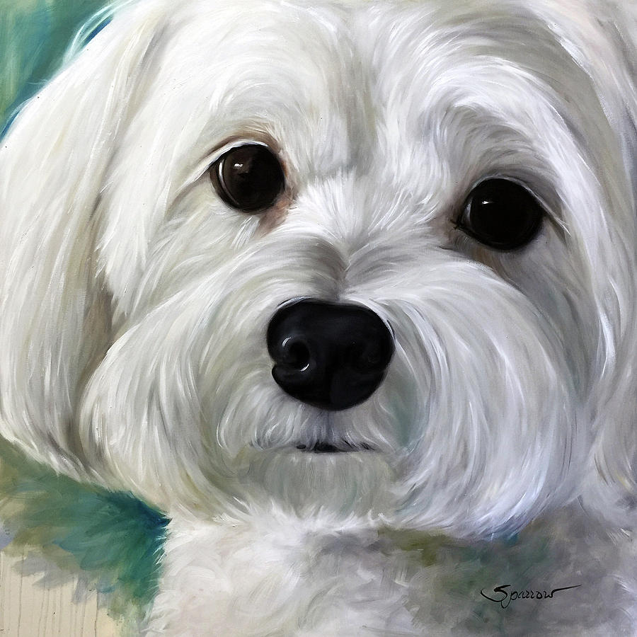 Dog Painting - Peanut by Mary Sparrow