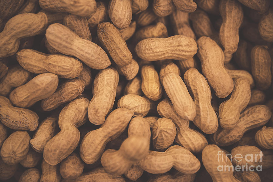 Peanuts background Photograph by Anna Om