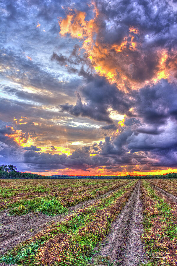 Peanuts, Clouds and Sun Photograph by Reid Callaway - Fine Art America