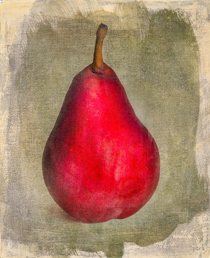 Pear 1 Photograph by Joye Ardyn Durham