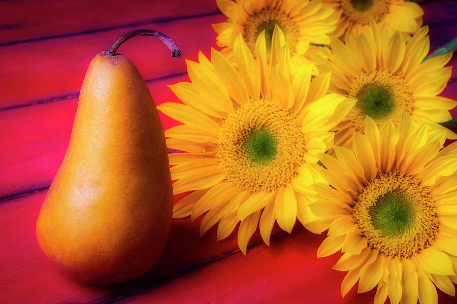 Pear And Sunflowers Photograph by Garry Gay