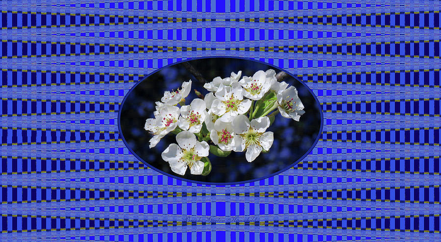 Pear Blossoms and Georgia Blue with Pattern Design - Manipulated Photograpy - Floral Abstract Photograph by Brooks Garten Hauschild