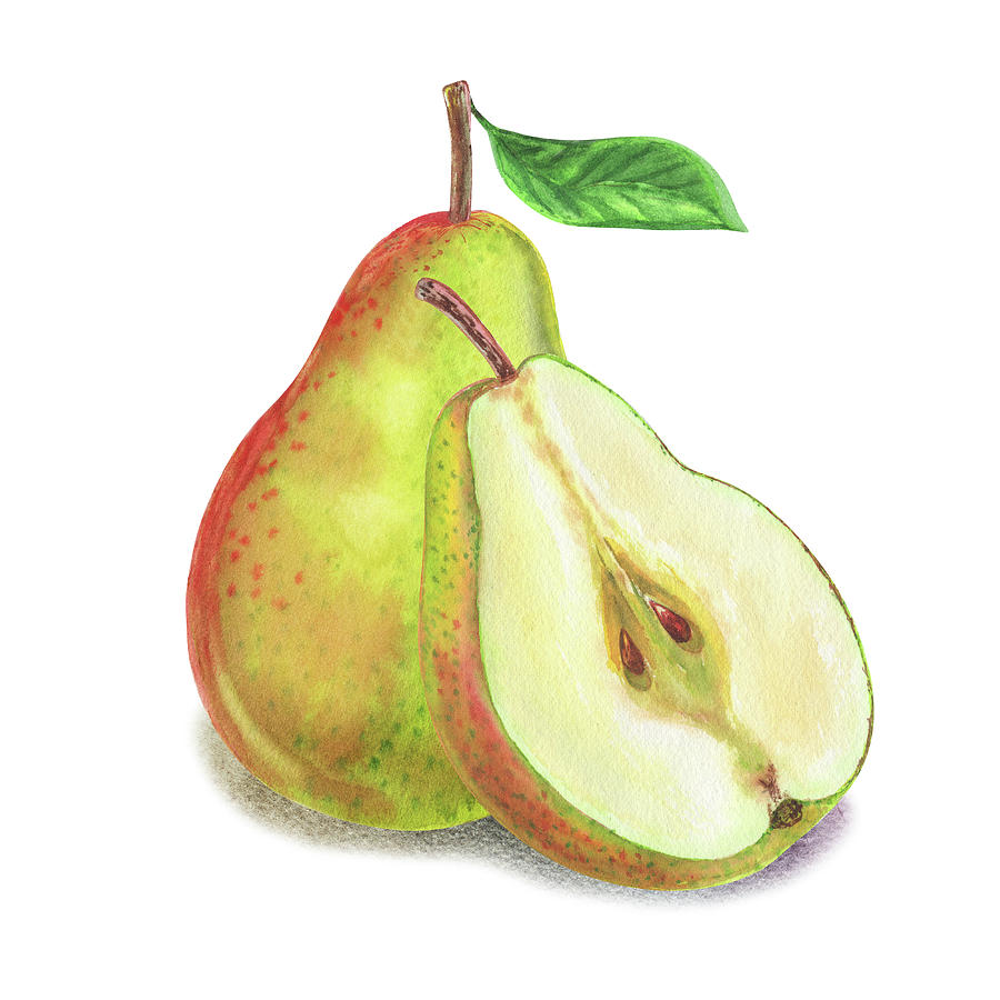 Pear Bunch Painting by Irina Sztukowski