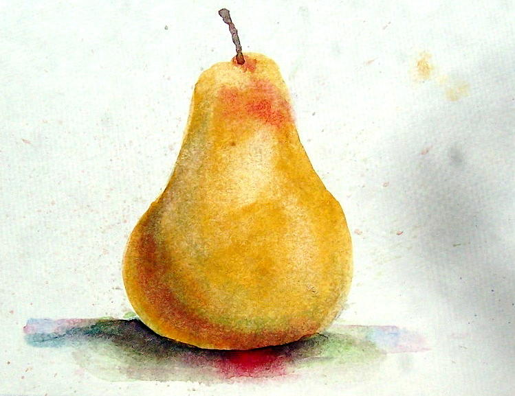 Fruit Painting - Pear by Charles Falk Jr