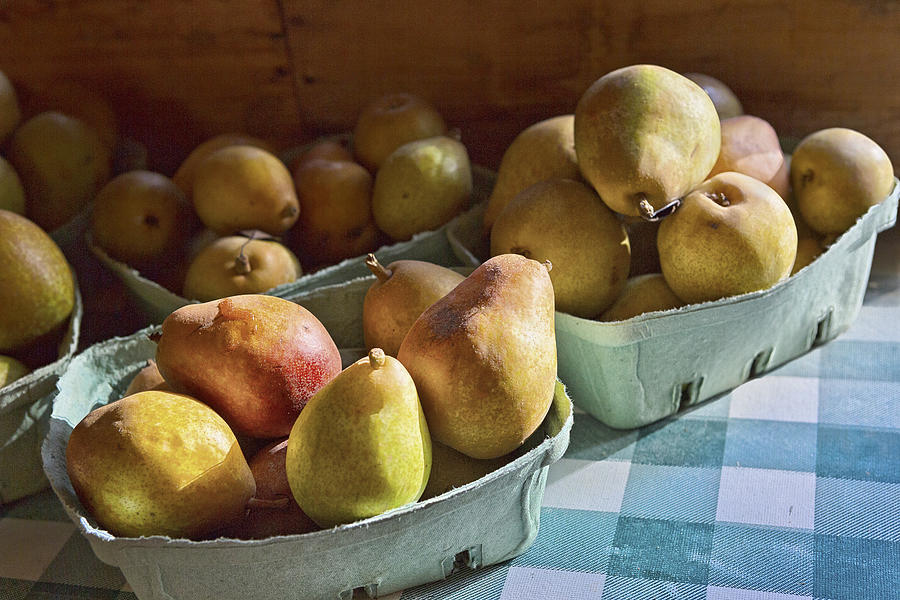 Pear Golden Photograph by Caitlyn  Grasso