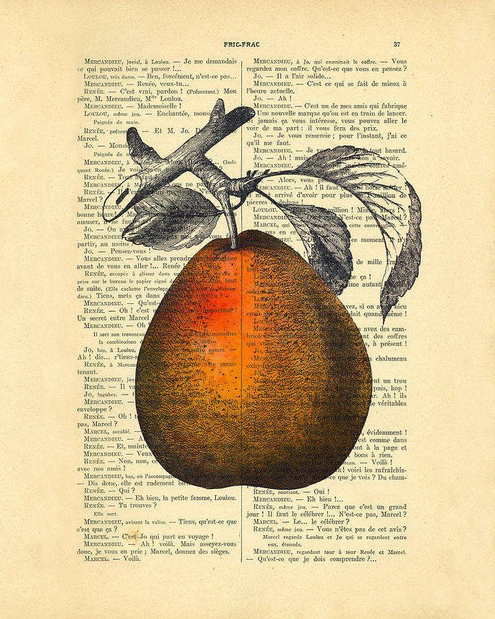 Pear Digital Art - Pear Fruit Kitchen Decor by Madame Memento
