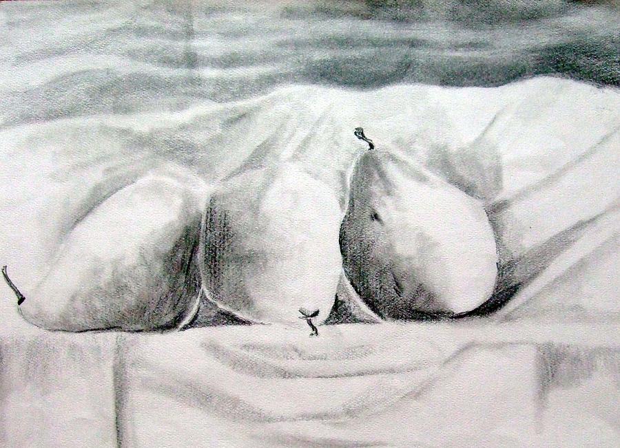 Pear Drawing - Pear Still Life by Mindy Newman