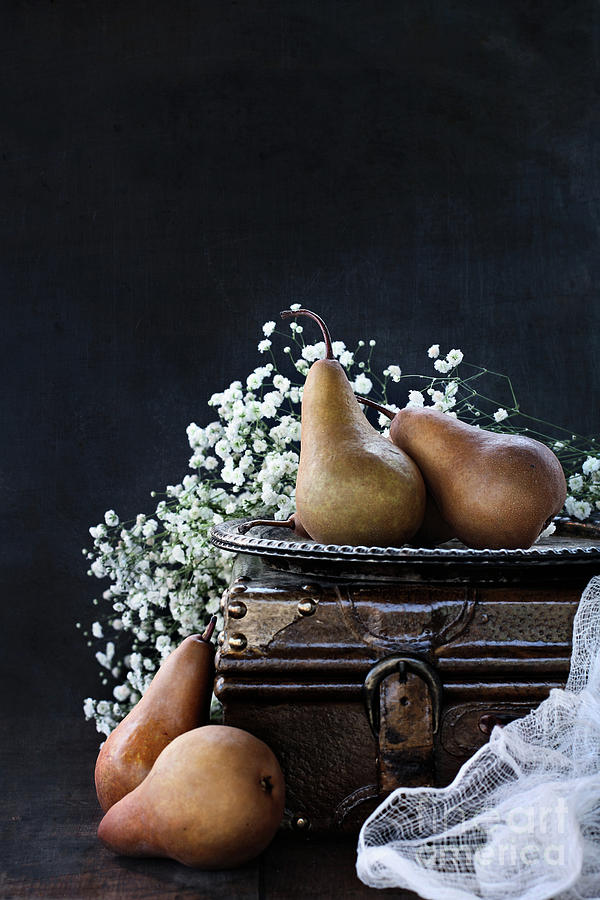 Pears and Babys Breath Photograph by Stephanie Frey