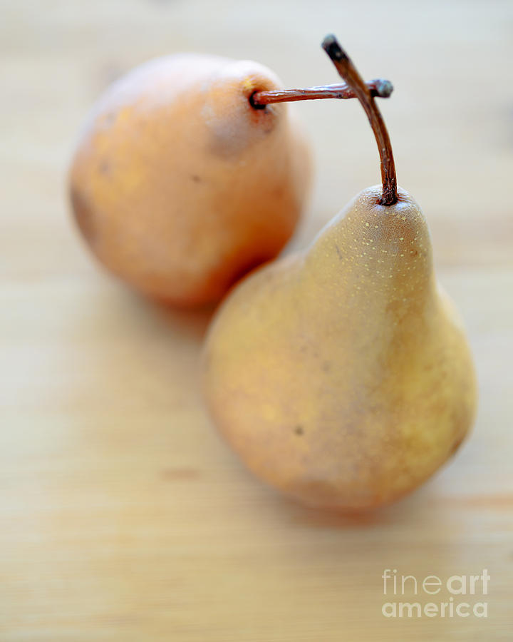 Still Life Photograph - Pears by Edward Fielding