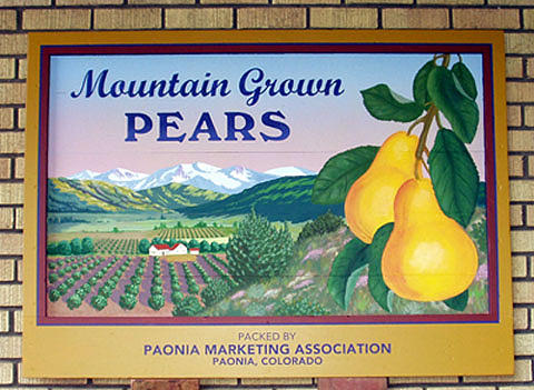 Pears Painting by Jeff Sartain