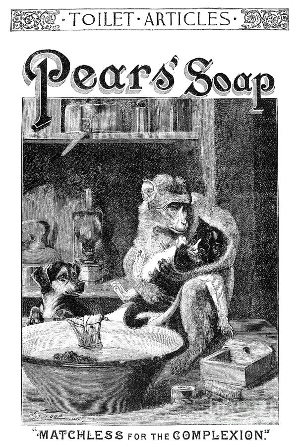 Dog Photograph - Pears Soap Ad, 1888 by Granger